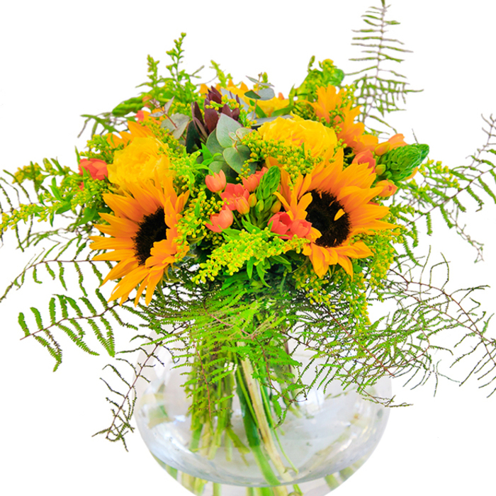 From the first glance, this sun-drenched bouquet exudes exuberance-a vibrant mix of yellow sunflowers and creamy garden roses that seem to radiate the late afternoon glow found across Belvedere's residential streets. The sunflowers reach outward, bright and bold, while the roses unfold in intricate layers, their tightly packed petals forming soft, elegant spirals. Set among these luminous blooms are glossy scarlet Hypericum berries, sparkling brilliantly and lending the bouquet a joyful, contemporary energy. Wisps of fern fronds and goldenrod-capped greenery tumble gently from the rounded glass vase's rim, conjuring the lively textures and colours of Belvedere's local gardens. Silvery eucalyptus leaves provide subtle highlights, while the vase itself reveals the bouquet's graceful structure: stems suspended in pure, clear water, showcasing the fresh vitality of every element. Light plays across the surface, illuminating each intricate detail-from the slightly velvety petals of the sunflowers to the crisp, cool freshness of green sprigs. Lovingly designed by Belvedere Flowers, this arrangement captures the spirit of togetherness and celebration, ideal for birthdays, anniversaries, or simply bringing a sense of sunlit optimism into the heart of Belvedere homes.