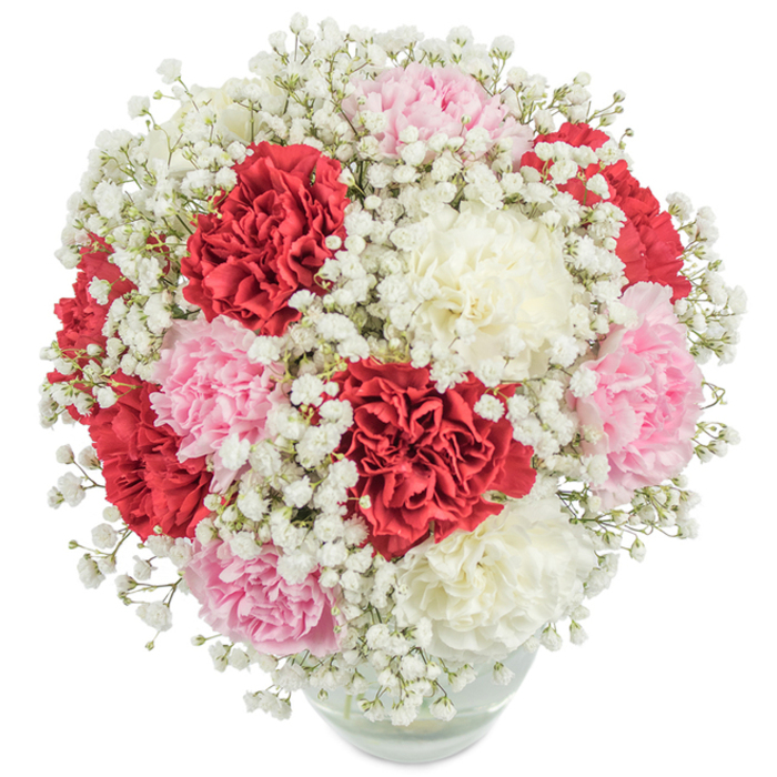 Richly abundant and meticulous in its detail, this hand-crafted bouquet from Belvedere Flowers is a celebration of texture, colour, and community spirit. Displayed on a crisp, white backdrop, the arrangement's perfectly spherical silhouette invites admiration, filled with large, ruffled carnations of vibrant red, gentle blush, and classic ivory white-each petal expertly layered to capture both the light and the imagination. Gentle sprigs of frothy baby's breath (gypsophila) are generously threaded between the larger blooms, their clustered white florets softening the arrangement and evoking a sweet tranquillity akin to spring mornings near Lesnes Abbey Woods. The clear, rounded vase grounds the bouquet with understated elegance, revealing submerged stems and crystal water that reflect the freshness for which Belvedere Flowers is beloved locally. Photographed from an elevated angle, the vivid carnations appear to glow with vitality, their timeless palette making this arrangement a preferred choice for anniversaries or thoughtful gestures to neighbours on Longleigh Lane. Each element, from the subtle radiance of the petals to the wispy baby's breath, harmonizes to create a floral display that exudes warmth, celebration, and enduring grace in true Belvedere fashion.