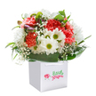 Brimming with cheerful energy, this locally-inspired bouquet glows with the dynamic hues of Belvedere. Coral, peach, and vibrant red carnations, each with a nest of soft, frilly petals, are paired with radiant white daisies whose bright yellow-green eyes seem to twinkle with happiness. Flowing through the bouquet, baby's breath creates a dance of airy innocence, while closed, subtly purple-tinted buds reach gently through the foliage, suggesting quiet anticipation for new stories. Surrounding all, lush, shiny green leaves form a natural embrace, bringing fullness and a touch of elegance to the display. The flowers are arranged in a crisp white gift bag with ribbon handles, ready for a doorstep delivery along local lanes or a surprise visit to a friend near Belvedere Park. Bathed in gentle light, each bloom and stem is rendered in vivid detail, highlighting the craftsmanship of Belvedere Flowers and the genuine joy of thoughtful floristry. The effect is uplifting, sincere, and perfect for celebrating life's special moments or simply lifting today's spirits.